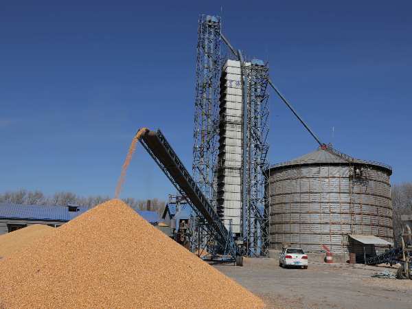 燒煤改燒秸稈大包直燃熱風(fēng)爐，烘干成本省一半