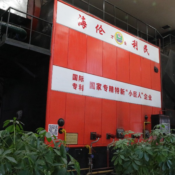 DZLS生物質半氣化直燃捆燒鍋爐