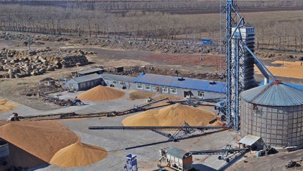 糧食烘干合作社如何做到年節(jié)省90萬元？利民萬佳鍋爐為您解析